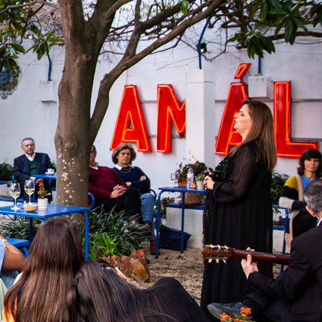 FADO NO JARDIM DA CASA DE AMÁLIA RODRIGUES