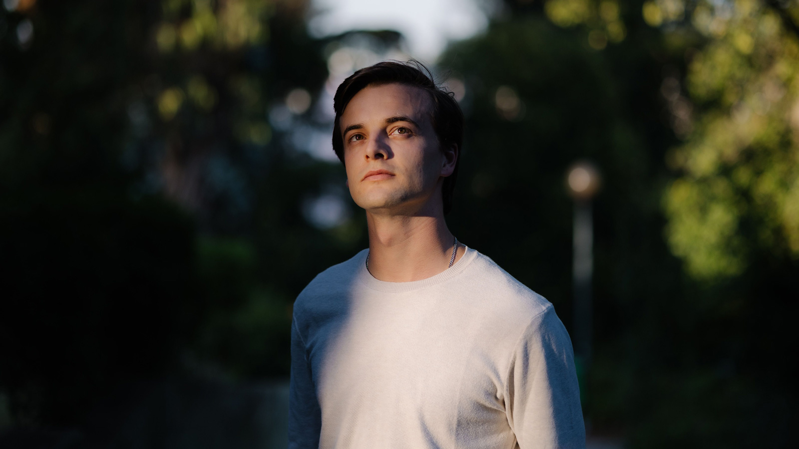 O Carnaval dos Animais