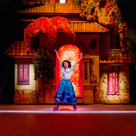 Official cover of the event Disney on Ice: Festa em Família - Rio de Janeiro