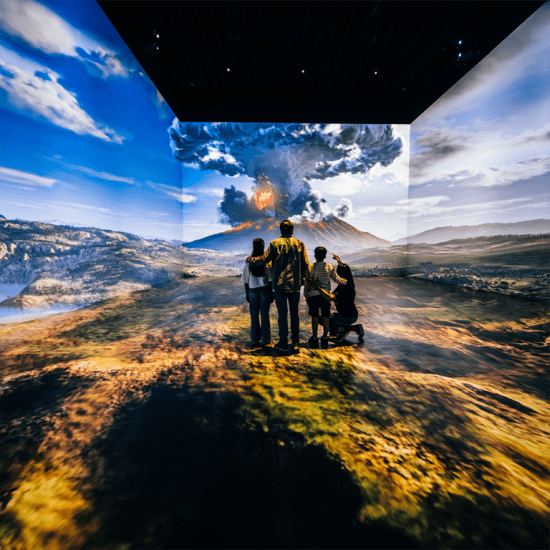 Official cover of the event Les Derniers Jours de Pompéi : L'exposition Immersive