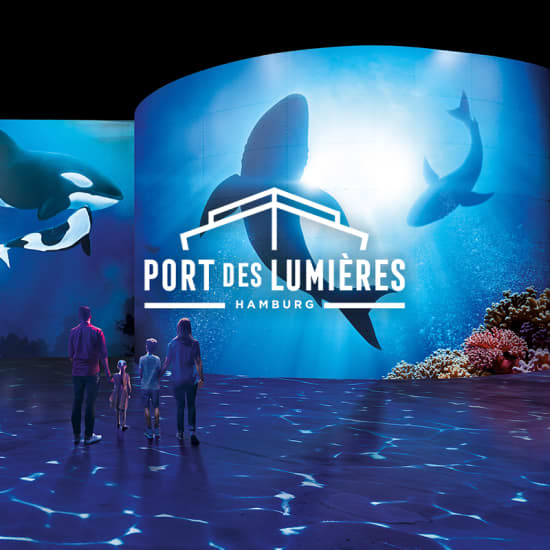 Official cover of the event Wunderwelt Ozean - Ein immersiver Tauchgang