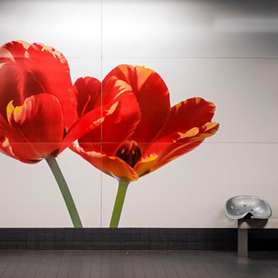 Official cover of the event Visite guidée : L’Art dans le Métro Bruxellois