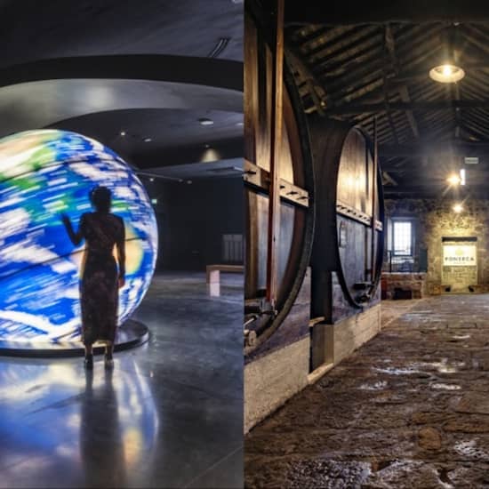 Official cover of the event Fonseca Cellar & The Wine Experience: Tour + Tasting