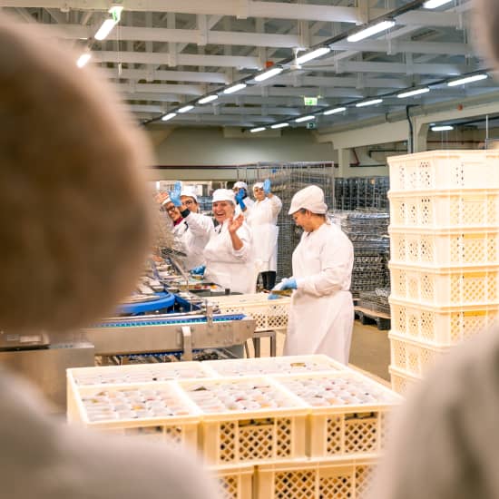 Official cover of the event Conservas Pinhais Factory Tour: Guided Experience in English