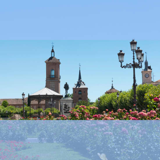 Official cover of the event Visita Municipal Alcalá de Henares