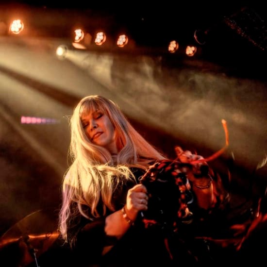 Official cover of the event Fleetwood Bac - The Worlds no 1 tribute to Fleetwood Mac