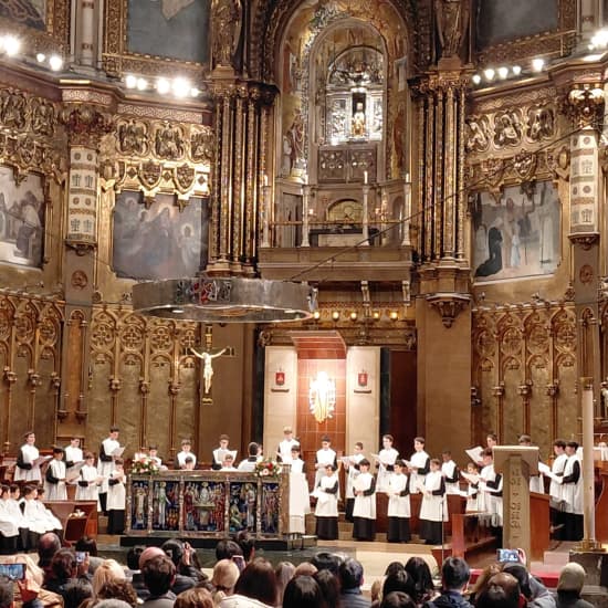 Official cover of the event Visita guiada a Montserrat con todo incluido en grupo compartido desde Barcelona, con transporte privado y recogida en el hotel