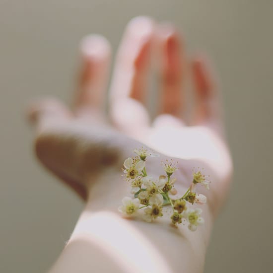 Official cover of the event Renaissance Corporal