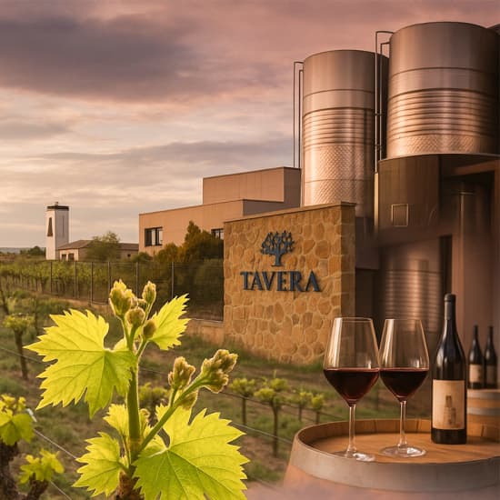 Official cover of the event Bodega Tavera: Visita