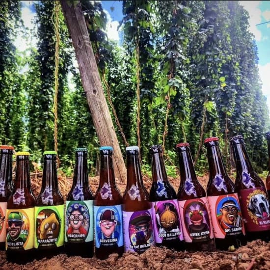 Official cover of the event Curso de Elaboración de Cerveza