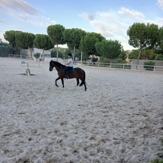 Official cover of the event Rutas a caballo en la Escuela de Henry