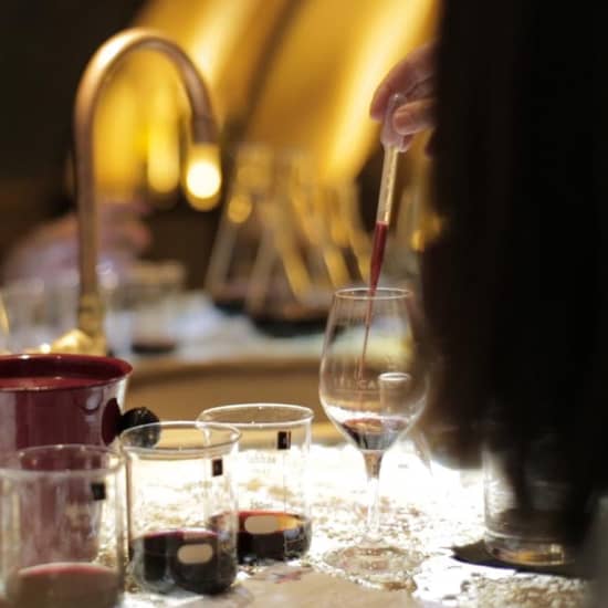 Official cover of the event Atelier "créer son propre vin"